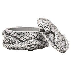Joyero Nagini Harry Potter - 5063322020410