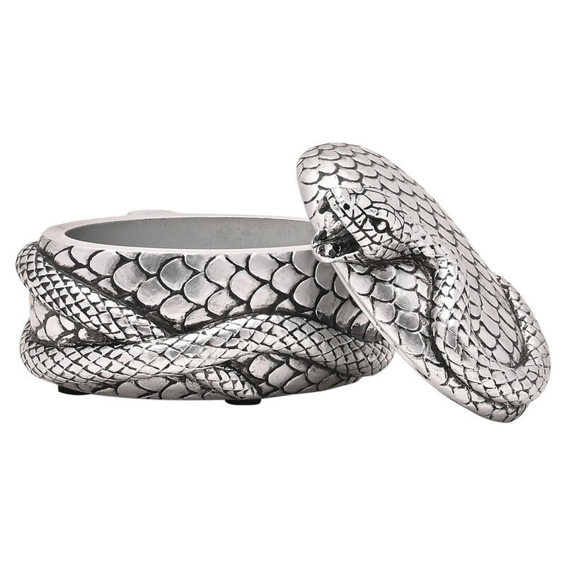 Joyero Nagini Harry Potter - 5063322020410