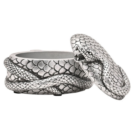 Joyero Nagini Harry Potter - 5063322020410