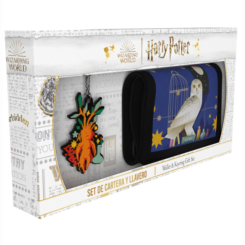 Blister Cartera + llavero Harry Potter - 8426842107431
