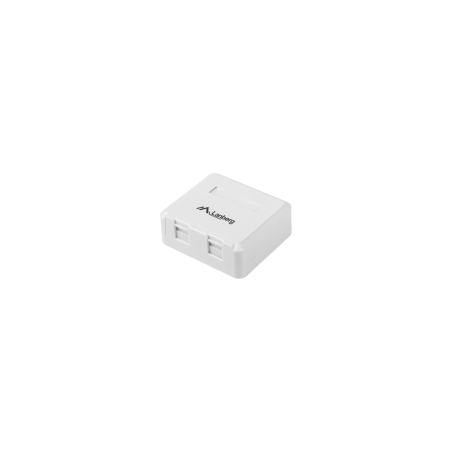 ROSETA DE SUPERFICIE LANBERG PARA 2 MODULOS KEYSTONE - OK1-0002-W