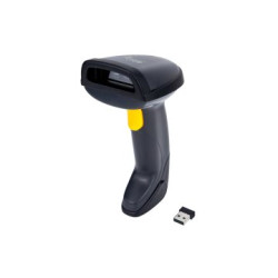 WIRELESS 2D DUAL 2.4GHZ BLUETOOTH - 4015867238806