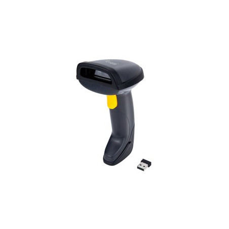 WIRELESS 2D DUAL 2.4GHZ BLUETOOTH - 4015867238806