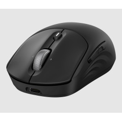 HP Raton 705 inalambrico recargable - AZ7B1AA-2