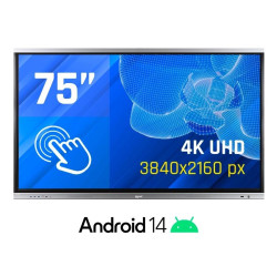 iggual Pantalla interactiva 4K ORCHID 75" - IGG318812