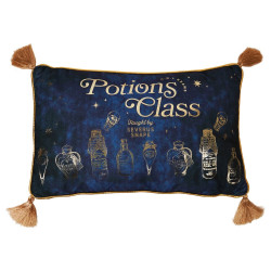 Cojin velvet Potions Class Harry Potter - 5063322183481