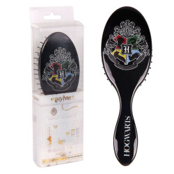 Cepillo cabello Hogwarts Harry Potter - 8427934366279