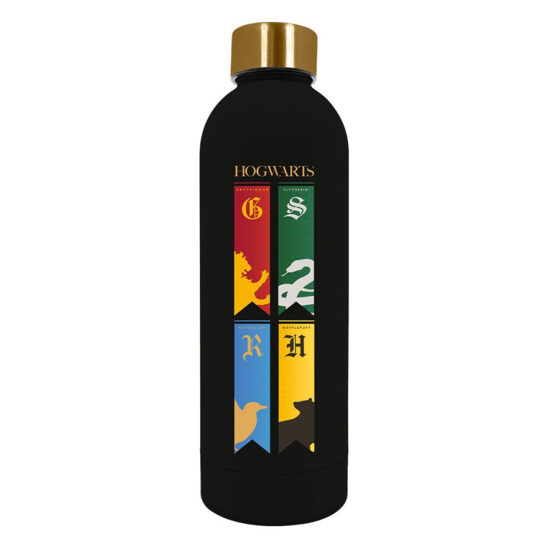 Botella suave acero inoxidable Harry Potter 800ml - 8435507898669