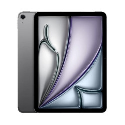 IPAD AIR 11 M4 W+CL 1TB  SPC GREY - 0195950813593