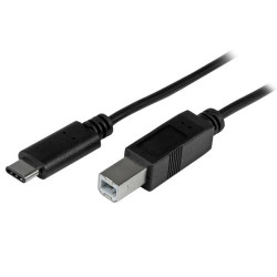 StarTech 2m 6ft USB C to USB B Cable - USB 2.0 - USB Type C Printer Cable M/M - USB 2.0 Type-C to Type-B Cable - 0065030865630