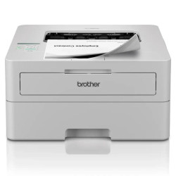 Brother Impresora Laser HL-L2865DW - FIMILM0218