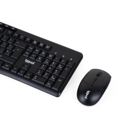 iggual Kit teclado ratón inalámbrico WMK-BASIC - FTRCTR0218