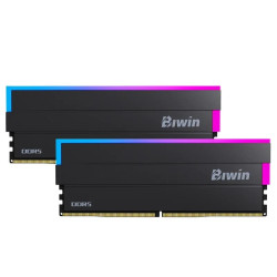 Biwin DW100 DDR5 6000 48GB CL28 (24*2) Black RGB - IMEMD50208