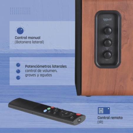 iggual Altavoces 2.0 50W Bluetooth 5.3 Home Studio - MAUA200236