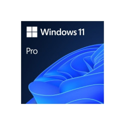 Microsoft Windows 11 Pro 64b  Es OEM DVD - WSOS640106