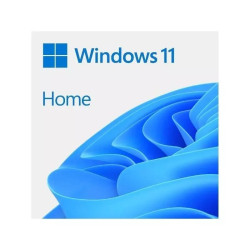 Microsoft Windows 11 Home 64b  ESD - WSOS640116
