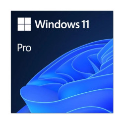 Microsoft Windows 11 Pro 64b  ESD - WSOS640117