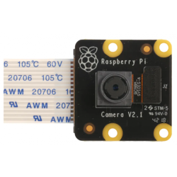 Raspberry Pi PiNoir Camera Module V2.1 Cámara Multicolor - 913-2673
