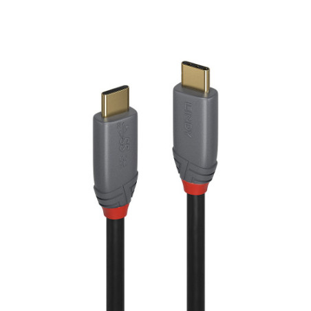 LINDY USB 3.1 Kabel Typ C/C 5A PD Anthra Line M/M 1m - 4002888369015