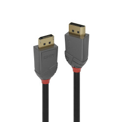 Lindy 36482 cable DisplayPort 2 m Negro - 36482