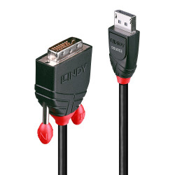 Lindy 41491 adaptador de cable de vídeo 2 m DisplayPort DVI-D Negro - 41491